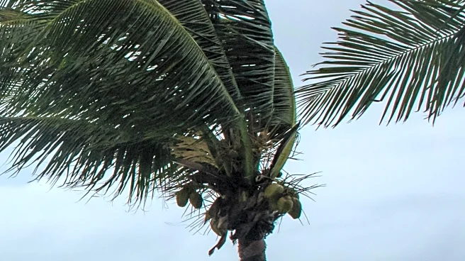 Hurricane Melissa Strands Hotel Guests in Jamaica, Fosters New Friendships