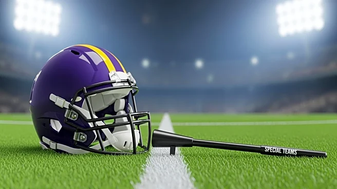 Minnesota Vikings Special Teams Display Mixed Performance in Game Against Detroit Lions