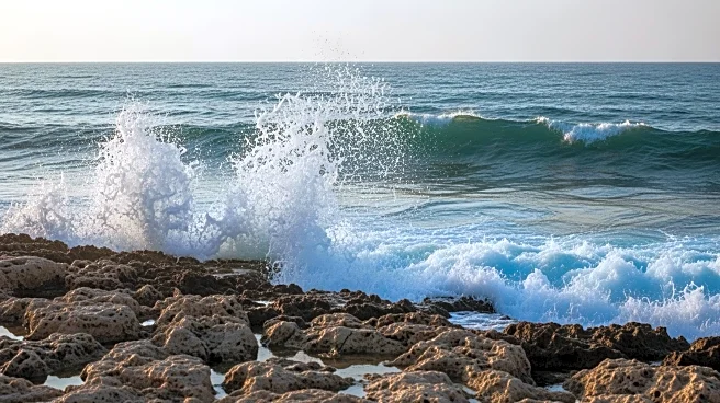 Israeli Film 'The Sea' Premieres in New York, Highlights West Bank Struggles