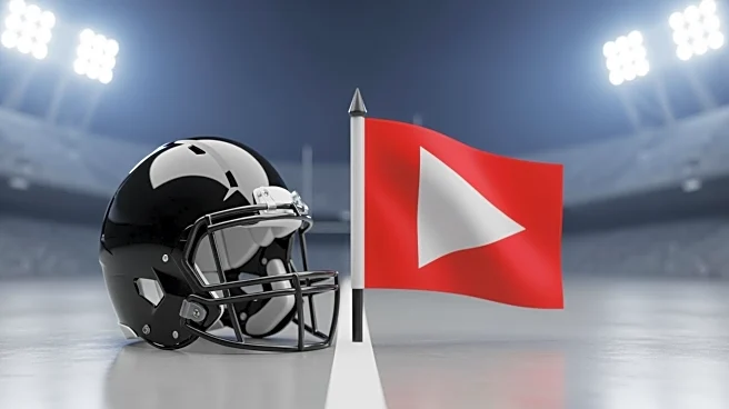 Carolina Panthers Running Back Rico Dowdle Fined for 'Two-Pump' Celebration