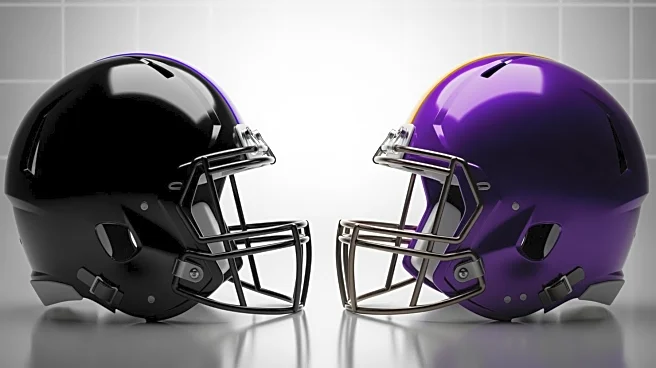 Baltimore Ravens Aim for Third Consecutive Win Against Minnesota Vikings