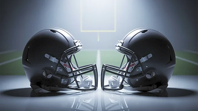 NFL Player Matt Kalil's Ex Haley Baylee Attributes Divorce to Personal Factors