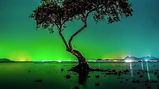 Study Reveals Rotating Water, Coffee, and Tea May Extend Lifespan