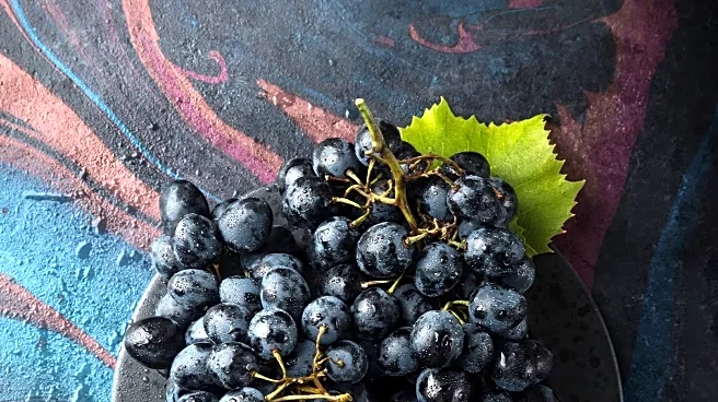 Grapes Highlighted for Anti-Aging Skin Benefits
