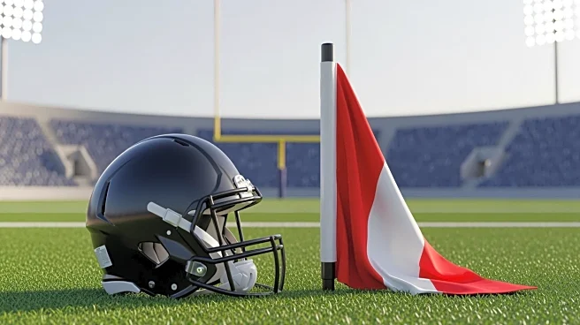 Carolina Panthers' Rico Dowdle Fined by NFL for Touchdown Celebration