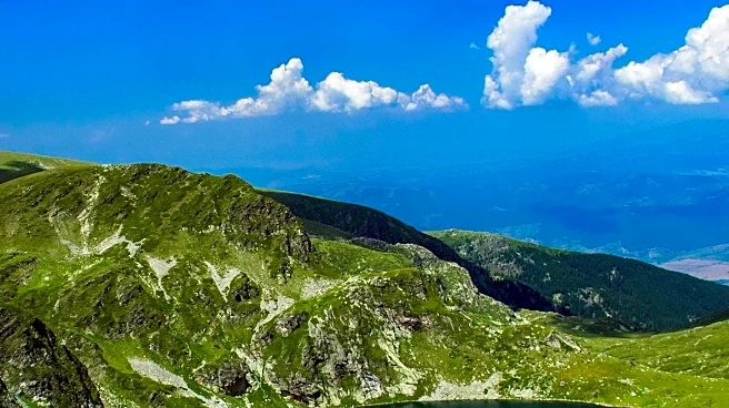 Rare Kidney Diseases Highlighted in Chronic Kidney Disease Discussions