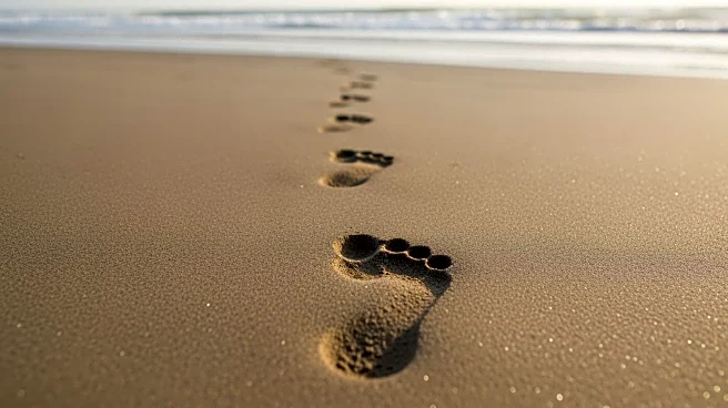 Neanderthal Footprints Discovered on Portugal's Coast Reveal Early Human Behavior