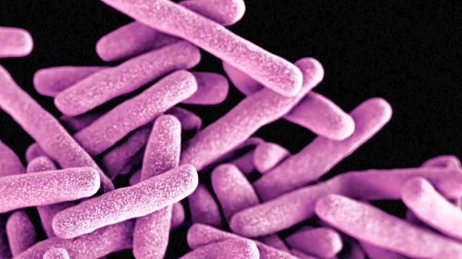 Research Center Develops Phages for Carbapenem-Resistant Enterobacter Strains