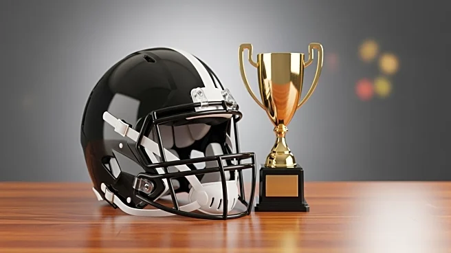 Panthers' Rico Dowdle Fined for Touchdown Celebration, Raises Charity Funds