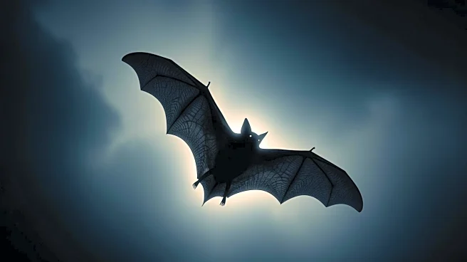 Study Highlights Specific Bat Clades as Key to Zoonotic Spillover Risk