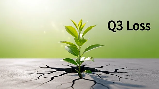 Root Inc. Reports Strong Growth Despite Q3 Loss Impacting Financial Performance