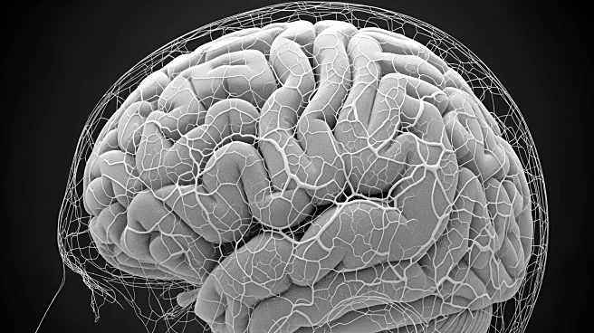Brain Dissection Photogrammetry Enhances Study of Human White Matter Connections