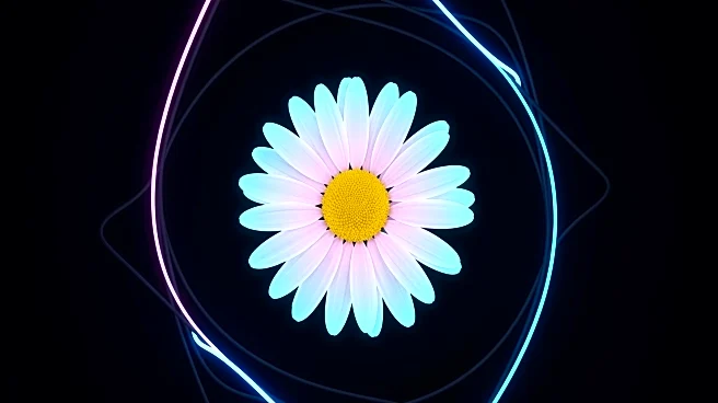 Electric Daisy Carnival Orlando 2025: Ticket Sales and Lineup Announced