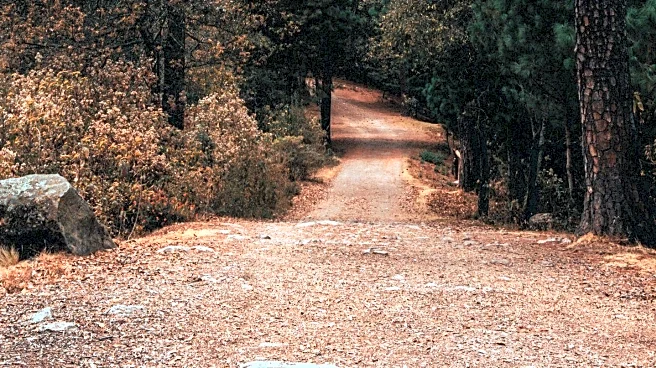 Los Angeles Trails Offer Fall Foliage Viewing Opportunities for Hikers