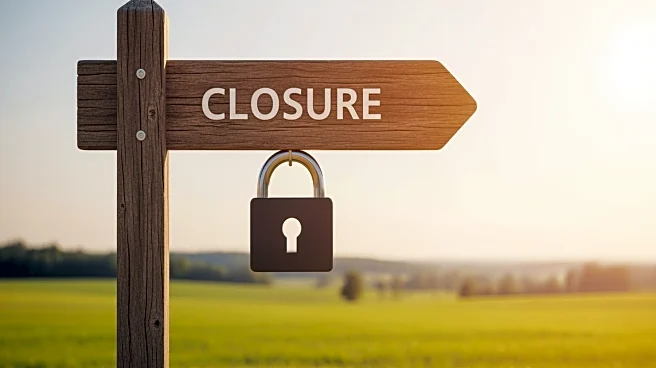 Outback Steakhouse to Close Over 40 Locations Amid Financial Restructuring