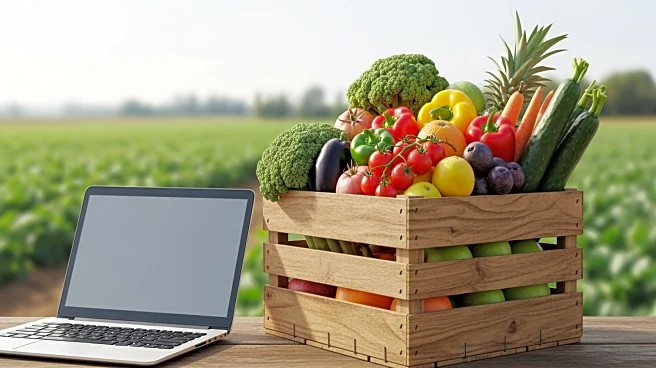 USDA to Include Field Survey Data in November Crop Report Amid Shutdown