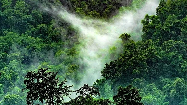 Communicators Urged to Shift Amazon Rainforest Narrative from Doom to Agency