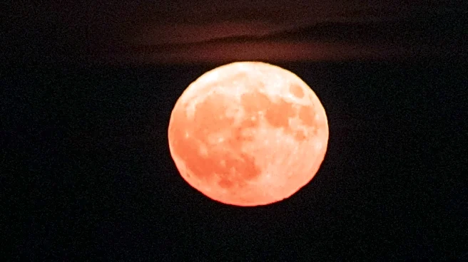 November's 'Beaver Moon' Shines as Largest Supermoon of 2025