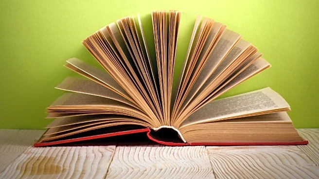 Man's Reaction to Girlfriend's DMs Sparks Debate on Open Relationships