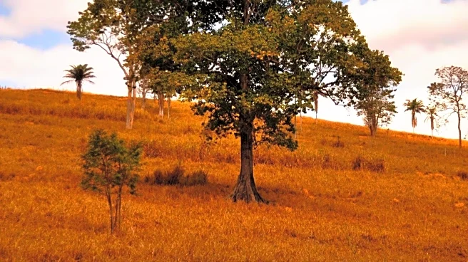 Brazil's Land-Use Choices Impact Biodiversity and Climate Change