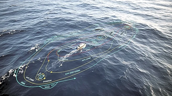 World Shipping Council Releases Updated Whale Protection Chart to Mitigate Ship Strikes