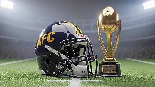 NFL Predictions: Patriots and Steelers Poised for AFC Dominance, McCaffrey Eyes OPOY