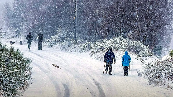 Walking in Winter May Slow Alzheimer's Progression, Study Finds