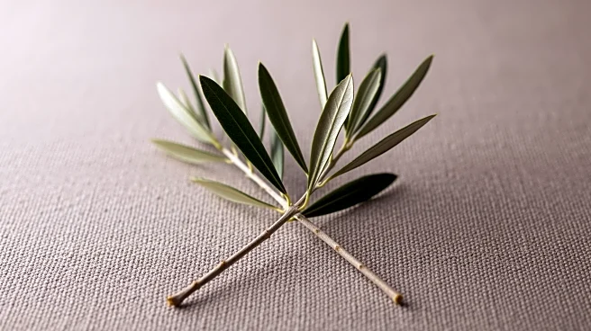 Rapid Support Forces in Sudan Agree to U.S.-Led Ceasefire Proposal Amid Humanitarian Crisis