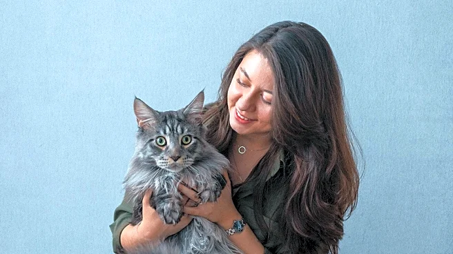 Cat Owner Adopts Lookalike Kitten, Creating Heartwarming Bond