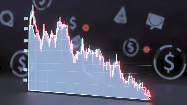 Doordash Stock Experiences Record Drop Amid Spending Concerns