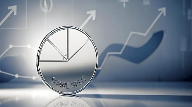 Fujita Kanko Inc. Announces 5-For-1 Share Split for December 31, Aiming to Enhance Stock Liquidity