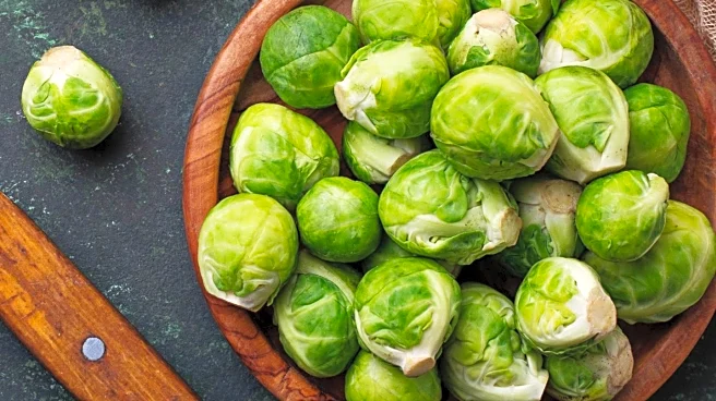 Hello Fresh Launches Oasis-Themed Lasagne for Limited Time