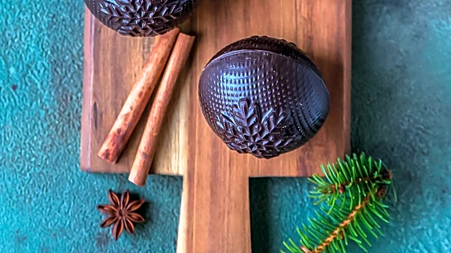 Understanding Seasonal Affective Disorder: Insights from the Discoverer