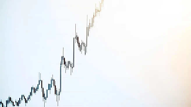 Datadog's Stock Surges 23% Following Strong Revenue and Forecast