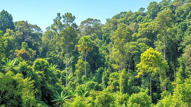 California Delegation Steps Up as President Trump Skips Global Climate Summit in Brazil