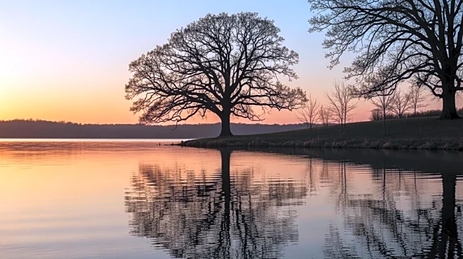 Annuities: Enhancing Retirement Security Amid Decline in Pensions