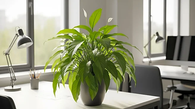 Lactalis USA Recognized as a Top Workplace for Employee Growth and Community Engagement