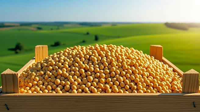 Kansas Farmers React Positively to China's Soybean Purchase Commitment