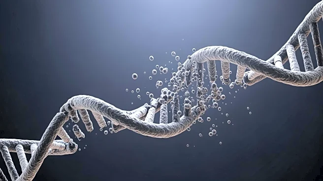 Intellia Shares Plummet Following Death of CRISPR Trial Patient