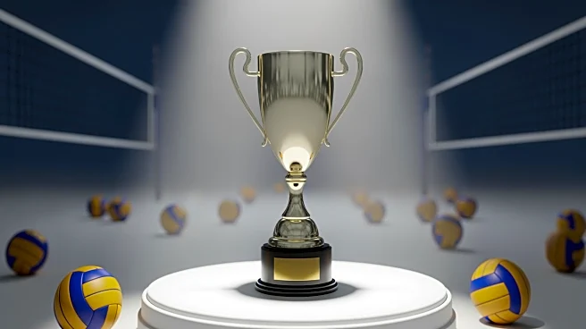 Natalie Bochantin Receives Porter Pride Award for Leadership and Positivity in Lockport Volleyball