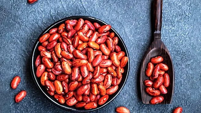 Dietitian Warns Against Rapid Adoption of #BeanTok Trend Due to Digestive Risks