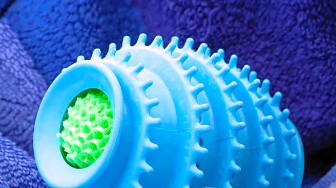 Wool Dryer Balls Gain Popularity as Eco-Friendly Alternative to Dryer Sheets