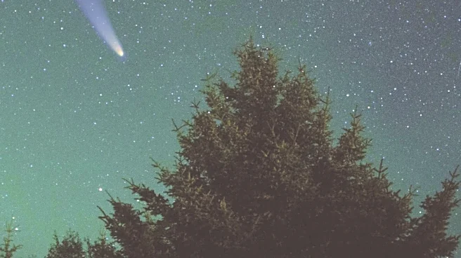 November's Supermoon: A Celestial Event to Illuminate the Skies