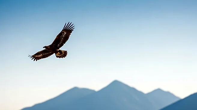 First Eagle Investment Management LLC Increases Stake in Kinross Gold Corporation