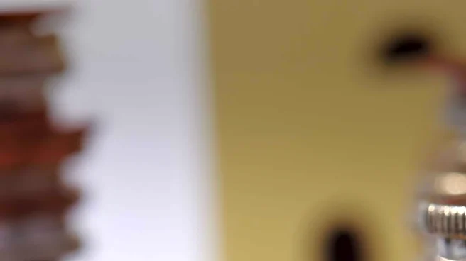 Pew Research Survey Reveals Key Aging Advice from Older Americans Focused on Health and Finances