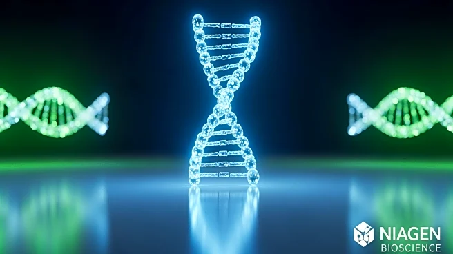 Niagen Bioscience Initiates $10 Million Share Repurchase Program Amid Market Conditions