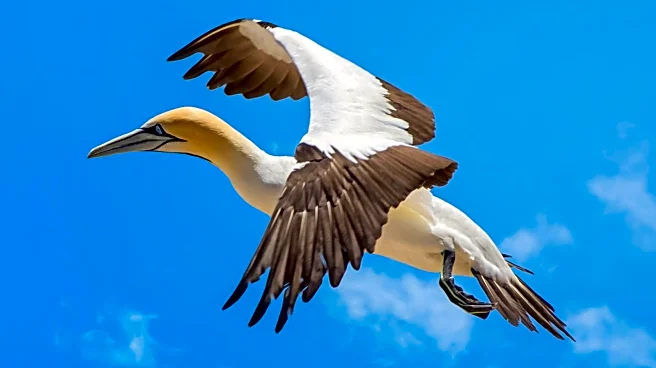 Press Ganey Report Highlights Safety and AI in Healthcare Consumer Experience