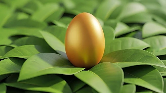 Cal-Maine Foods Identified as Key Agriculture Stock Amid High Trading Volume