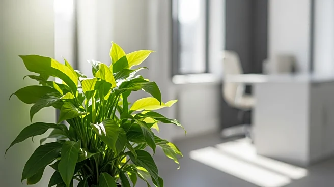 Unilever's Chief Sustainability Officer Rebecca Marmot Steps Down After Six Years