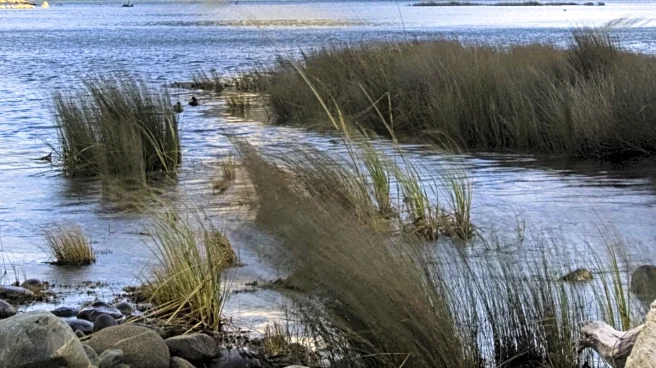 Michelin Guide Expands to New Zealand, Enhancing Culinary Tourism